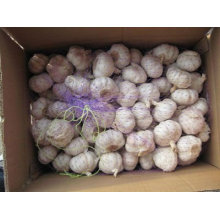 Fresh Garlic For Industrial Use